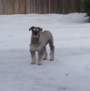 Meet your Posher, Anna